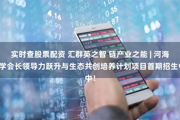 实时查股票配资 汇群英之智 链产业之能 | 河海大学会长领导力跃升与生态共创培养计划项目首期招生中！